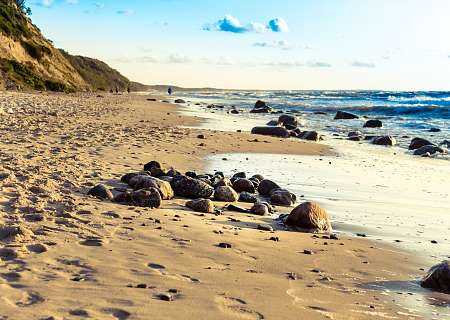 Okolice - Słupsk i Ustka, Rowy, Czołpino, plaże bałtyckie